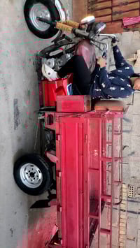 ستوته • موديل 15 • بدون اوراق