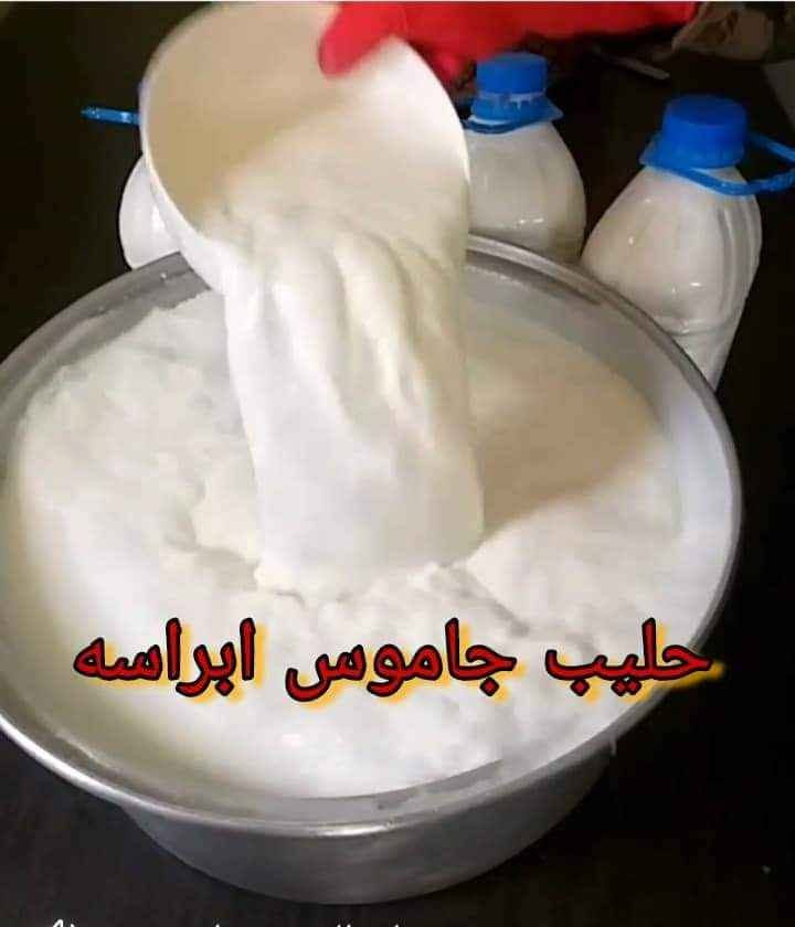 السلام عليكم
يوجد كل يوم
رهن حر كيلو 12 الف
زبد عرب كيلو 10 الف
حليب جاموس بطل 1لتر ب 4 الف
توصيل مجاني لكل محافظات العراق كربلاء, العراق


**إذا كنت صاحب هذا الإعلان وتريد حذفه لأي سبب، رجاءا أرسل رسالة إلى الدعم الفني**