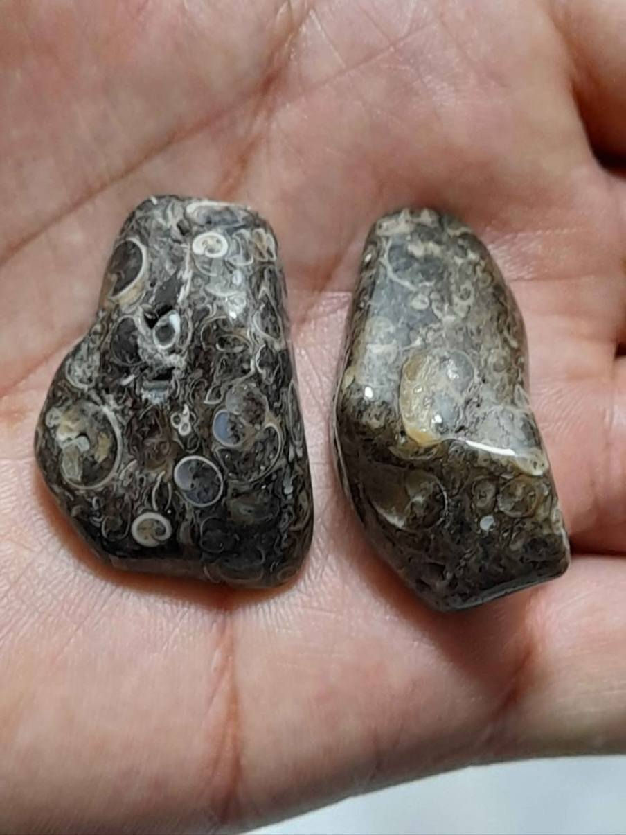 حجار جلد الحيه نثيه وفحل خام قديمات السعر 25 العنوان بغداد ***********
