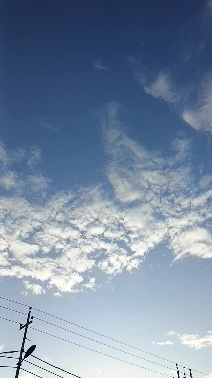 نامه برو محسن باب اول 23اين نقص مابيها  200cمحرك نظافه احلى من الفيديو سعرها خاص ♥


**إذا كنت صاحب هذا الإعلان وتريد حذفه لأي سبب، رجاءا أرسل رسالة إلى الدعم الفني**