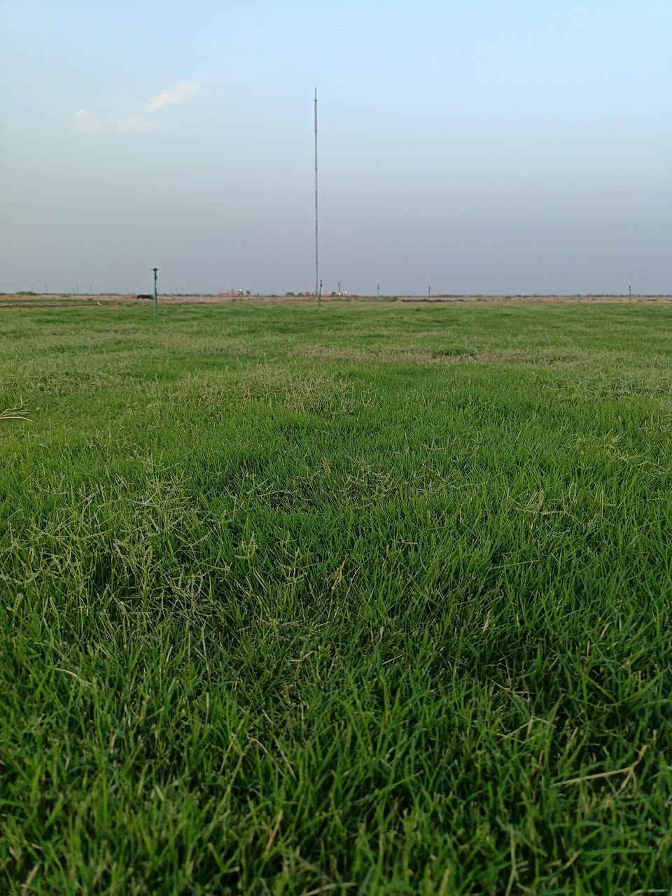 باسعار ثيل ديالى الطبيعي 🏡
أهلاً بكم في مجموعه مزارع ديالى لثيل الهندي الطبيعي 🌿🌱
 نقدم لكم افضل انوع الثيل الطبيعي عالي الجوده يتحمل كافه الضروف البيئية.🌦️🌞
دائم الخضرة🌿🌳 وباسعار تنافسيه ☘️❤️
#مستعدون لتجهيز وفرش الحدائق🏡 ودوائر الدولة🏡والمنازل🏡🏡
و تجهيز الملاعب🏟️ والمنتزهات الجودة العالية في العمل👷👷

مع خدمة التوصيل خلال24ساعه🚛🚛
الاسعار 💵💸 تختلف حسب الكمية 
للاستفسار الاتصال على : 
او التواصل مع الصفحه او اتصال علئ رقم  عن طريق ارسال رسالة على الوتساب ‏‪***********

