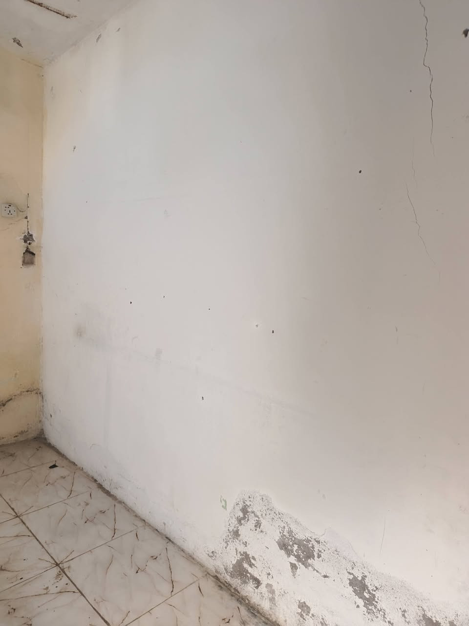 السلام عليكم بيت للبيع شارع اسواق الصدرين فرعي السكف عكاده شارع ماي مجاري كامل مشمول بكل الخدمات 
‏‪***********‬‏
