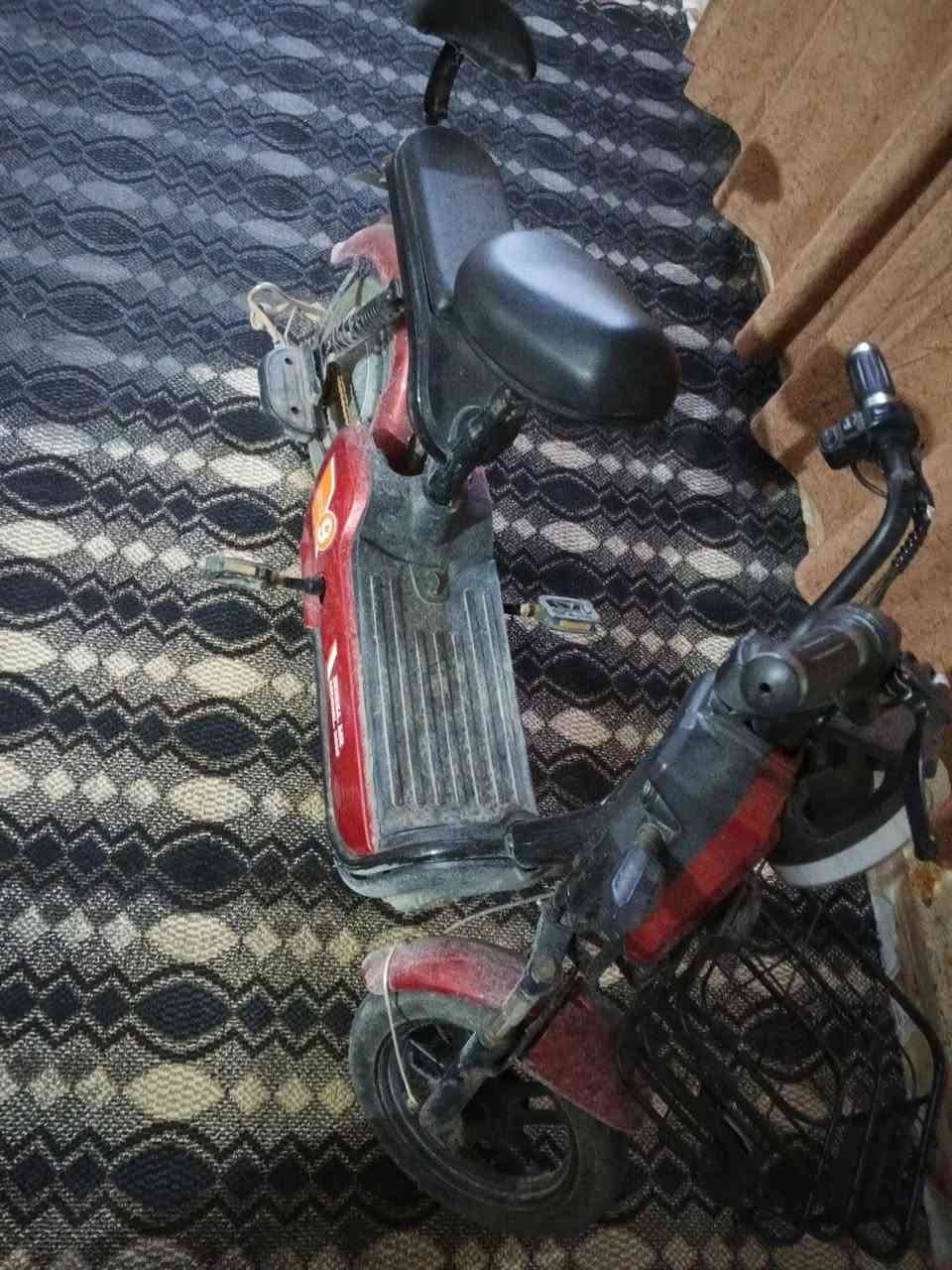 السلام عليكم بايسكل للبيع السعر خاص مكان كربلاء قرب قنطره السلام الرقم ***********
