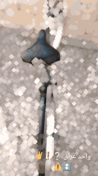 بابل • بسكليت • بابل62