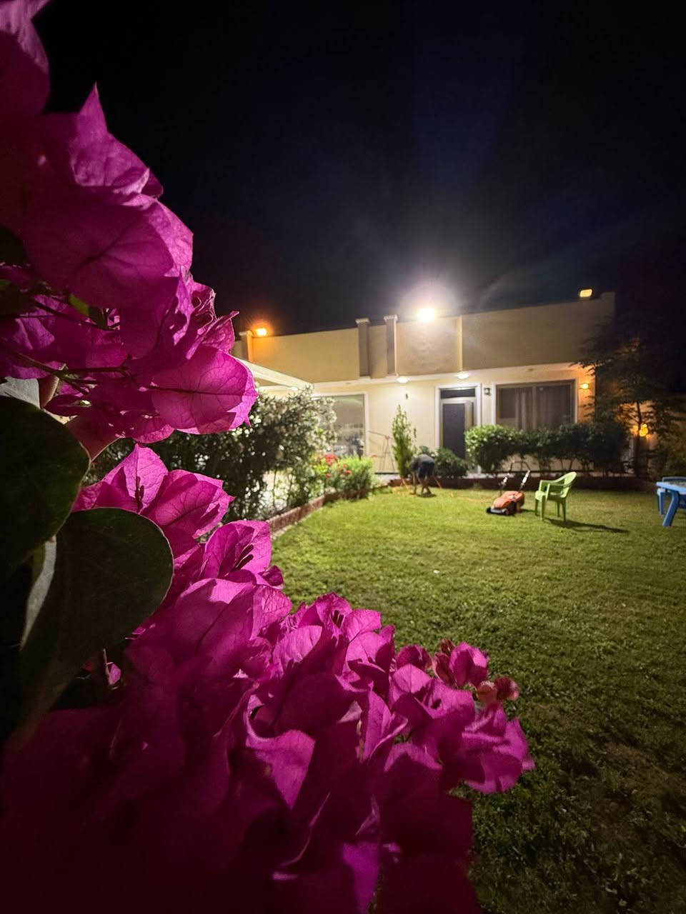 تتوفر حجوزات على شاليه الجود 
ب ايام العيد غدا الجمعه صباحي 
والسبت مسائي
للحجز او استفسار 
***********
موثقة بتطبيق اجرلي
