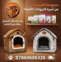 متوفر في متجرنا بيت فرو للقطط يوجد توصيل لجميع المحافظات للحجز 0786060...