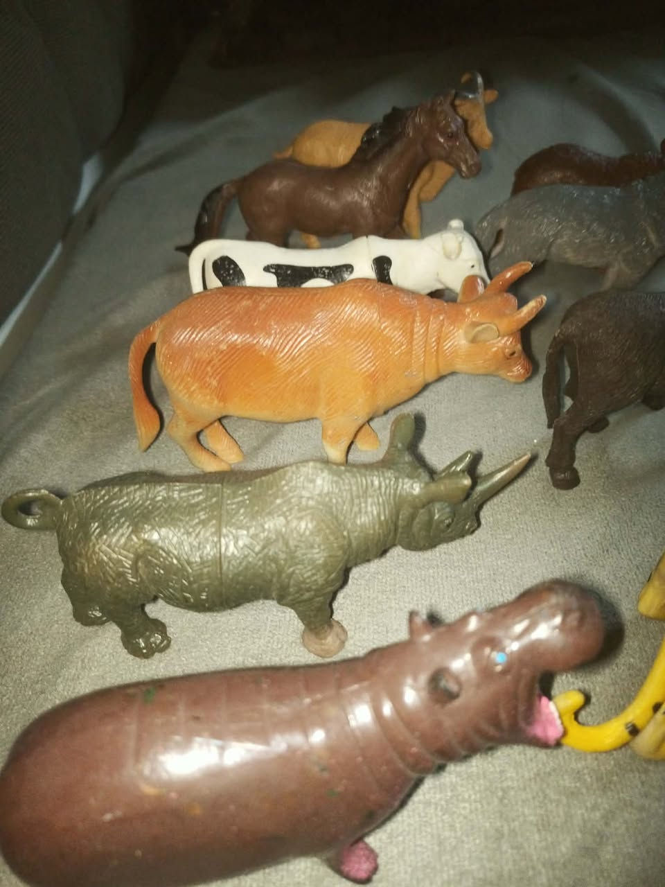 مجسمات حيوان باله أوروبية أصلية سعر كامل المجموعة 25 ألف


**إذا كنت صاحب هذا الإعلان وتريد حذفه لأي سبب، رجاءا أرسل رسالة إلى الدعم الفني**