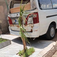 فتون ٢٠١١ • مكينة وكير واكسل • صندوك خلفي تعبان