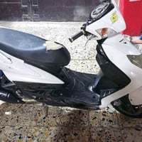 بغداد الحسينيه • نظيفه • فحل