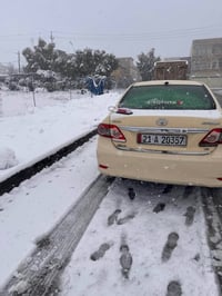 ٢٠١٣ • اوتوماتيك • جلد