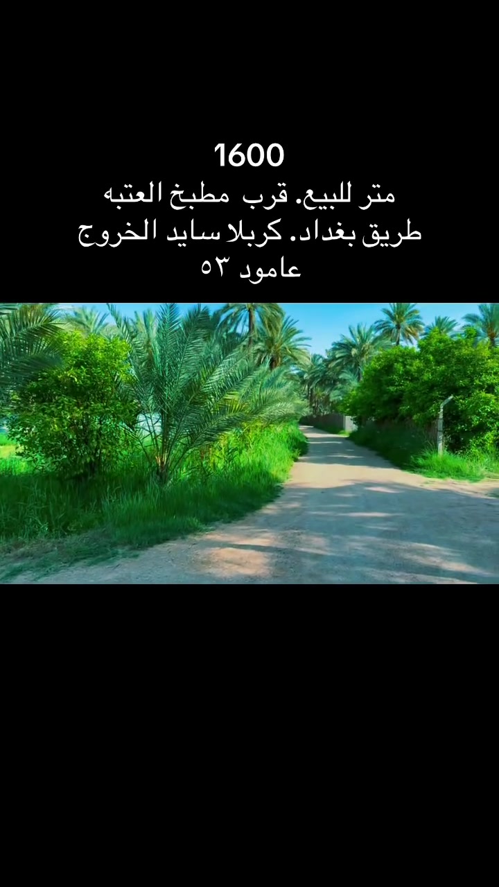 1600
متر طابو زراعي. تحويل سهم
خدمات متوفره
طريق بغداد. كربلا. سايد الخروج. 
عامود 52
بلقرب من مطبخ العتبه
***********

