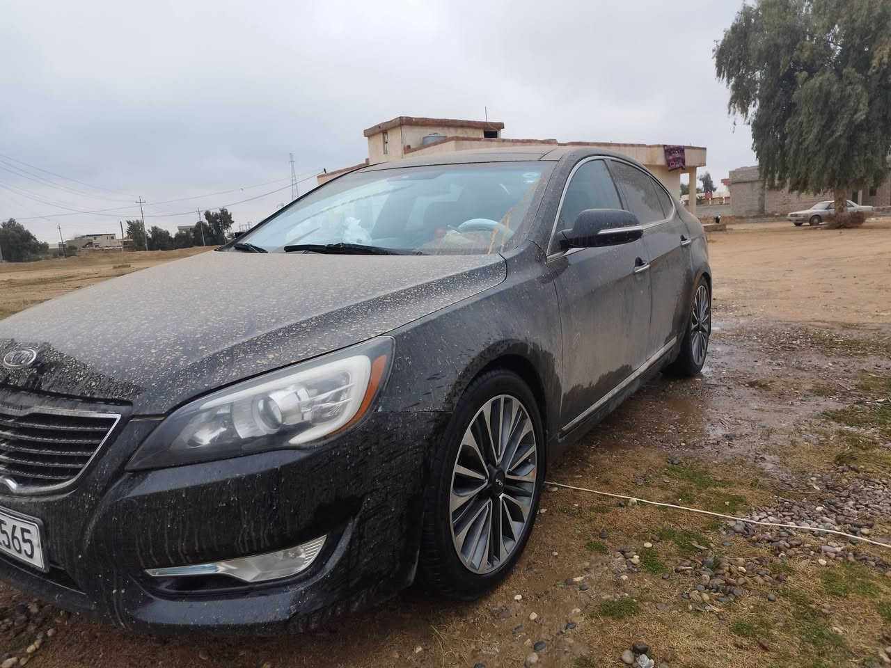 السلام عليكم كيه كادنزا موديل 12 رقم اربيل دولي  تحويل شرط سنويه 30 عليها غرامات علي الغرامات كشنات كهرب تبريد بل كشانه مري شفط السياره بيها مواصفات هواي تايرات 4جديد صدر امامي خلفي جديد محرك كير شرط مال كصه لايت زنون سقف بونراما بيع ومراوس دين مابيع  السياره كلين بدون صبق ولا حادث   السعر 130وبيها مجال ***********////***********
