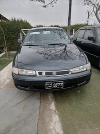 فاسوليا • ١٩٩٥ • أربيل