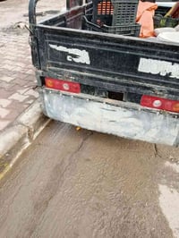 ستوته • موديل 14 • مكفوله