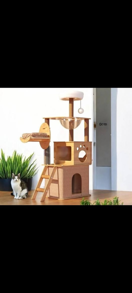 متوفرات خلي سعر وبلعافيه


**إذا كنت صاحب هذا الإعلان وتريد حذفه لأي سبب، رجاءا أرسل رسالة إلى الدعم الفني**