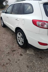 سنتافيا • ٢٠١١ • القرنة