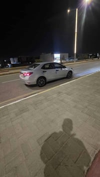 كورلا خليجي • الفلوجه • من الرمادي