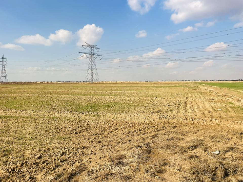 سلام عليكم قطعه ارض للبيع مساحة 30دونم 
مزروعه حنطه مثل ماموضح بل صوره 
مكان بغداد النهروان  سعر خاص 

رقم الهاتف ‭0780 898 2817‬
