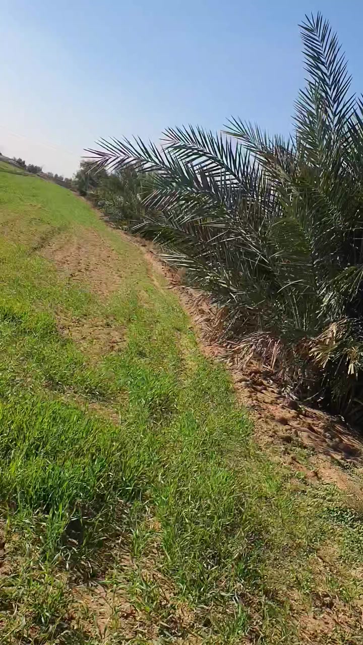 سلام عليكم 4دوانم ونص البيع تفاصيل داخل فيديو


**إذا كنت صاحب هذا الإعلان وتريد حذفه لأي سبب، رجاءا أرسل رسالة إلى الدعم الفني**