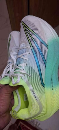 حذاء • مقاس ٤٣ • صفر