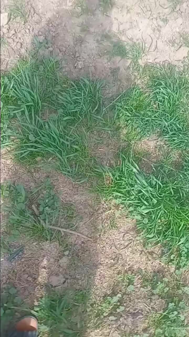 للبيع شغاله الموديل 90 رقم ***********اتصل ودلل
