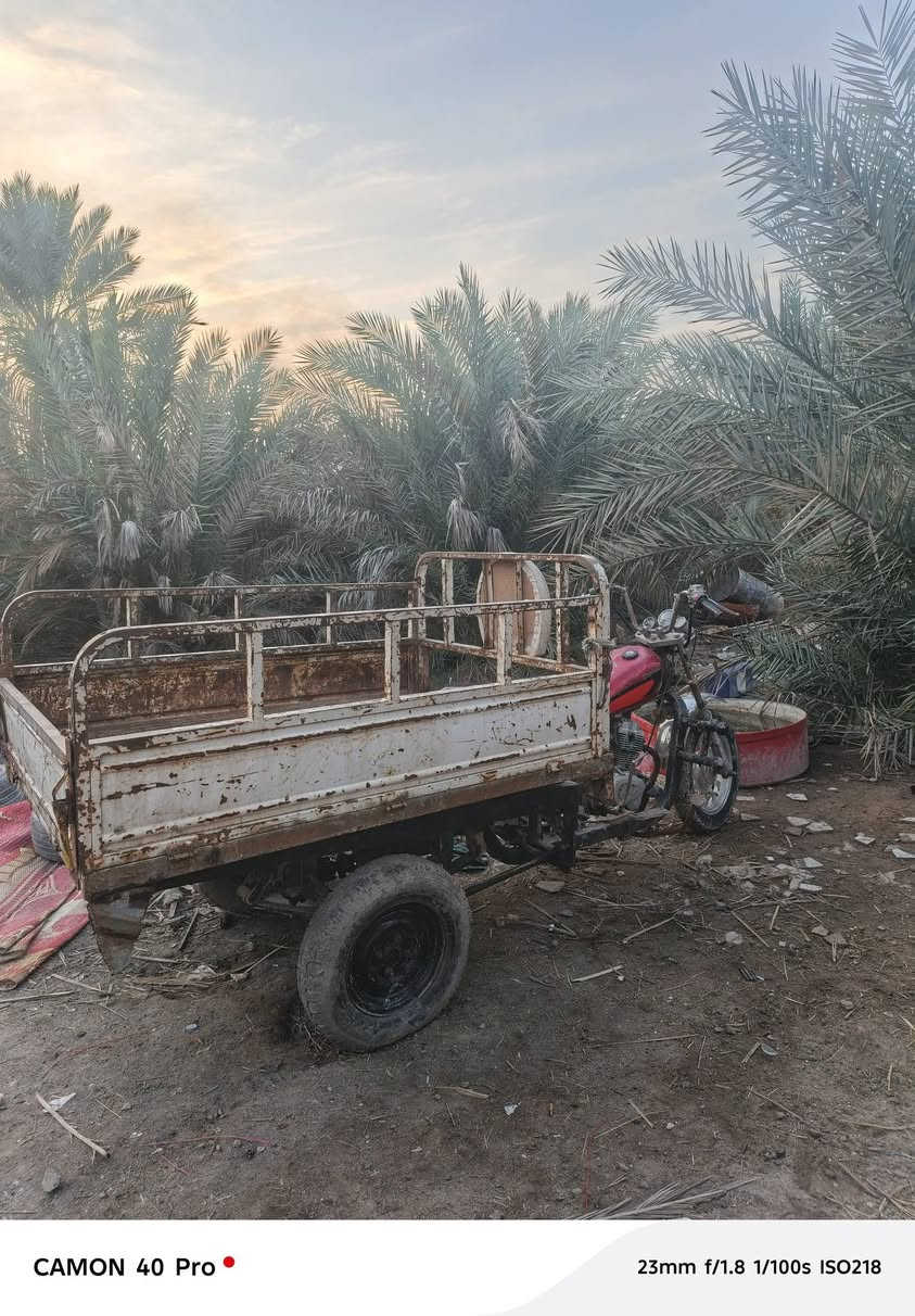 ستوتى لبيع أو مراوس بدراجه ستوته حلوه محرك جديد ما مفتوح مكان البصرة شط العرب ***********
