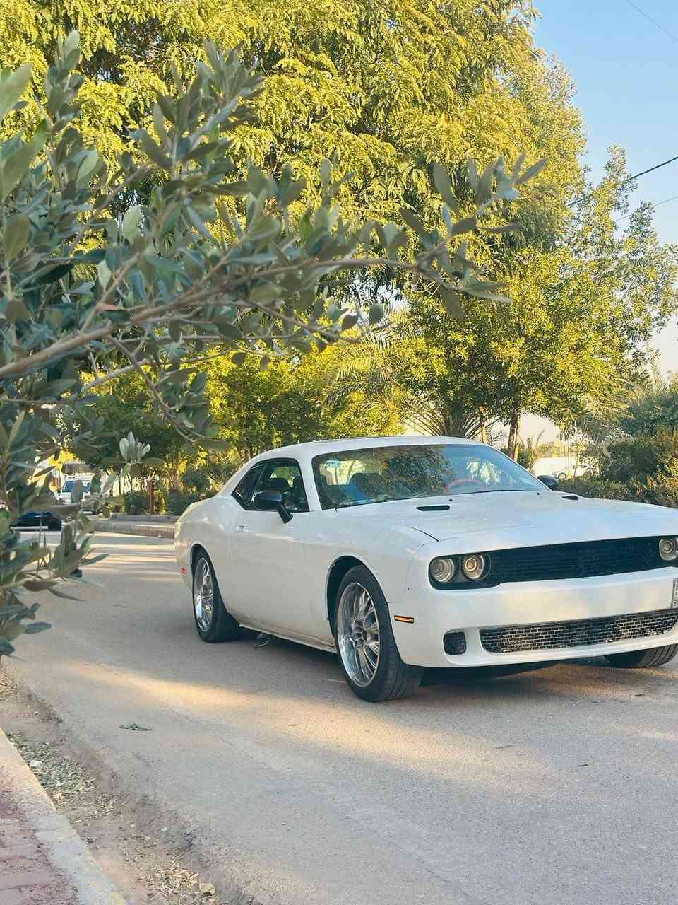 دوج جالنجر
2010
هيمي  5700
كير محرك مكفول
رقم بغداد
حادثه طخه بجاملغ الامامي وبيهه طخات صبغ عام 
قماره شواصي كفاله شرط وبدون ايرباك
صدر امامي جديد
ويل اصلي مصل كار وتخم تاير بجيس مصار شهر
بجم محدث ومنضومه زنون
فول موصفات فتحه سقف 
كشنات جلد 
جاهزه السياره 
عارضهه ١٠٠
وبيهه حك للجيه 
مكاني صويره
***********
