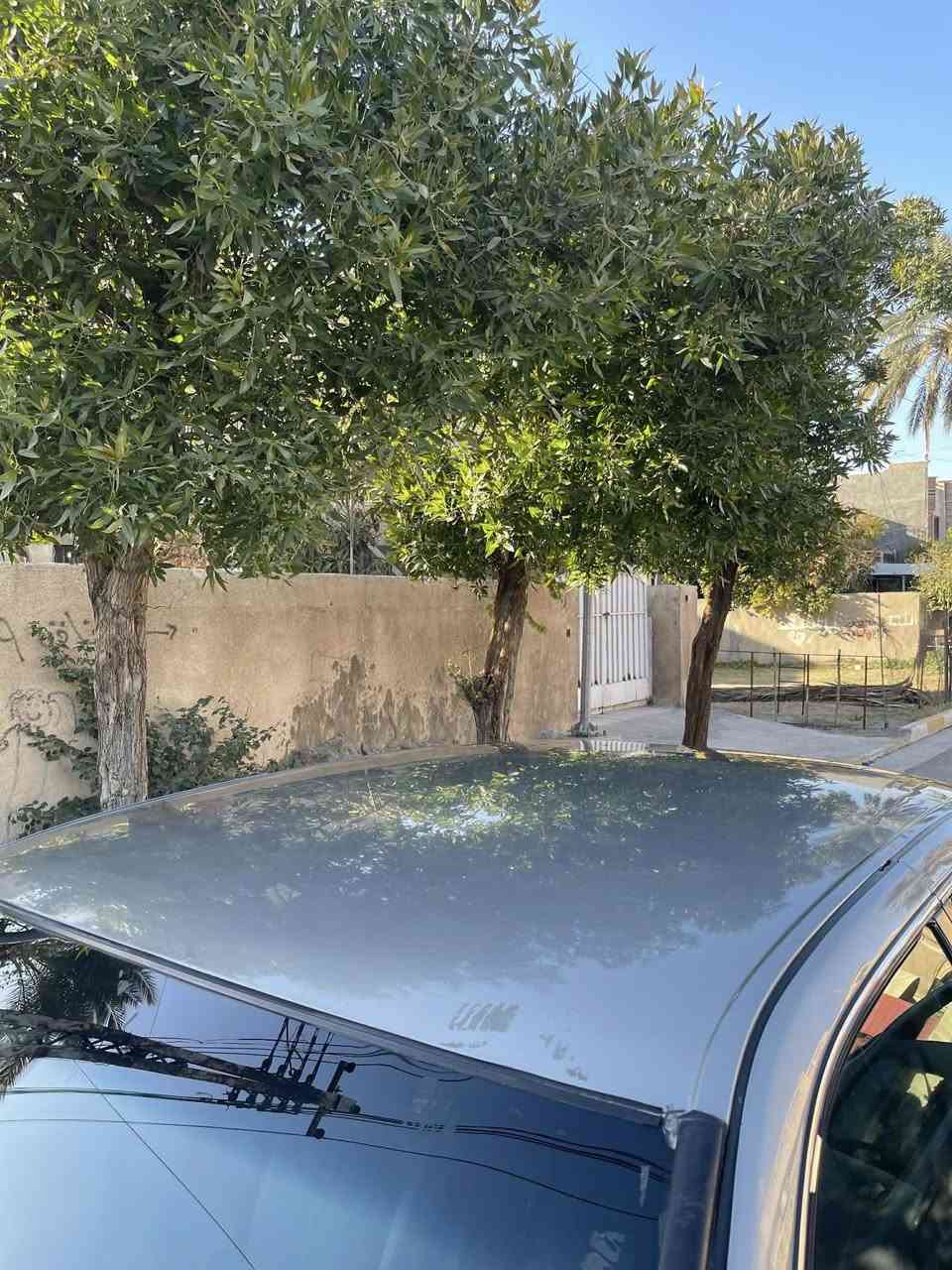 السلام عليكم
كامري 2001 وارد امريكي Le
محرك اربعة سلندر
محرك جديد
كير ومحرك خير من اللّه
كير اوتوماتيك
جام كهرباء
كرسي كهرباء
تخم تاير جديد
السعر 73 وبيها مجال
بغداد الغزالية
الرقم :***********
