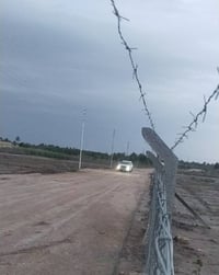 ام العيش • طابو تحويل مباشر • وجه ٤٥