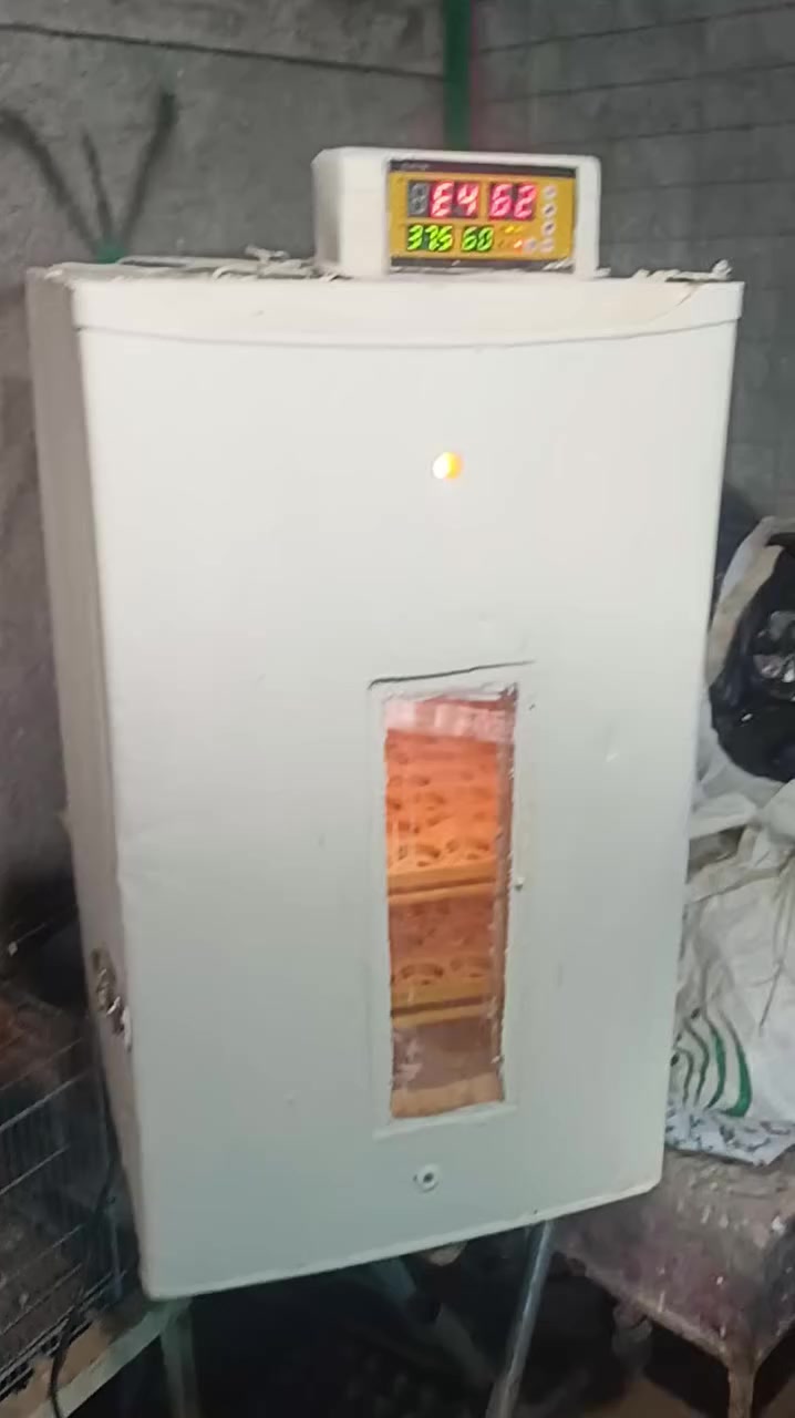 مفقس للبيع فول اوتوماتيك قلاب نسبه التفقيس 90% اتصل او واتساب ***********
