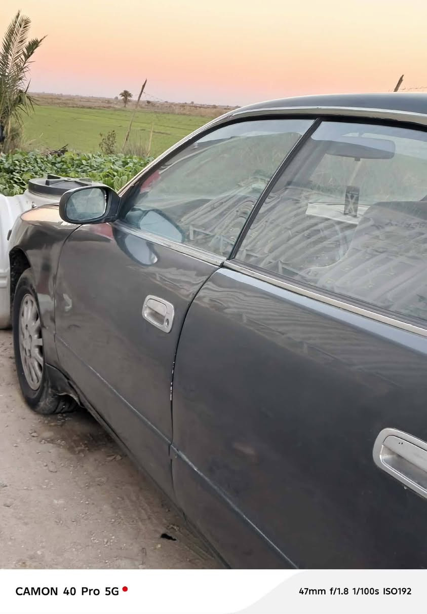 السلام عليكم شيزر للبيع مكفولة من اصوليات وكص وضربة قوية حدادية صار شهر من بدلت كاملة تنكجيه ستوني مشغلها حتئ بعدني ما صابغهن مكينه وكير بطة ٢٥٠٠ مكفولات سياره ما متعوبه اروح بيها لدوامي وارجع حتئ ما اشتغل بيها السعر ٦٠ وبيها مجال بسيط
المكان ديوانية غماس
للتواصل راسل الصفحة واني بخدمتك
للعلم السيارة احلا من الي بالصورة
***********
ما يعجبك السعر اعبر لا تكسر بحلال العالم
