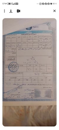 أرض • ١٠٠م • مجمع مال الله