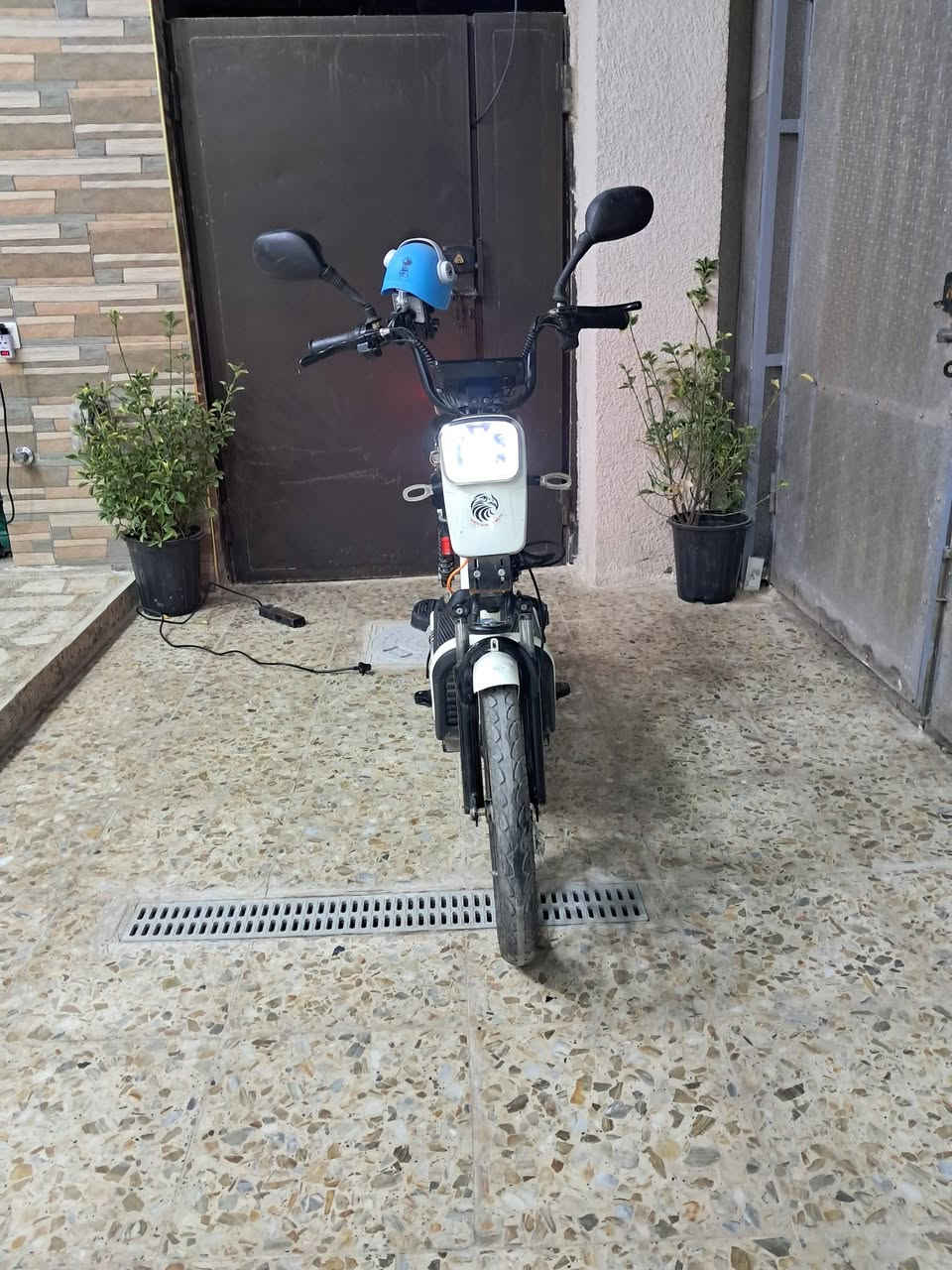 سلام عليكم دراجة شحن للبيع مكان بغداد الشعلة السعر 350 الستفسار *********** نضيفة كاملة مابيه نقص الشاحنة ولبايدر ولزنجيل
