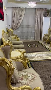 تخم زان مصري • ١٠ مقاعد