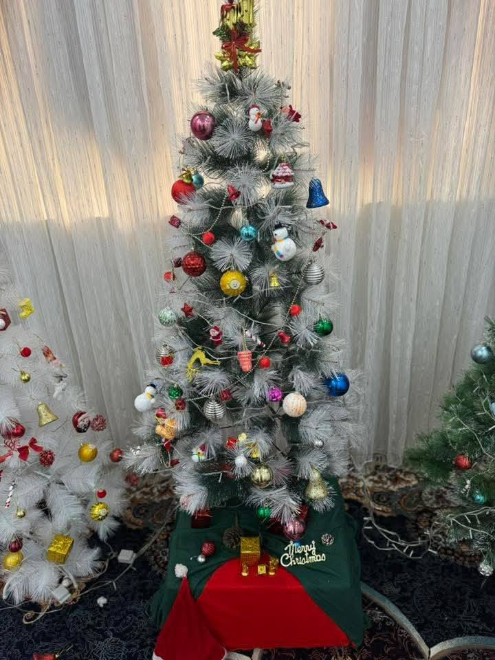 شجرة الكرسمس 🌲🌲بمناسبة رأس السنة نقدم لكم احدث الموديلات بطول 150 سم متر ونص وتجيك وياها الهدايا  بسعر مناسب جدا  للحجز مراسلة الصفحه او الاتصال واتساب المجمع ***********
