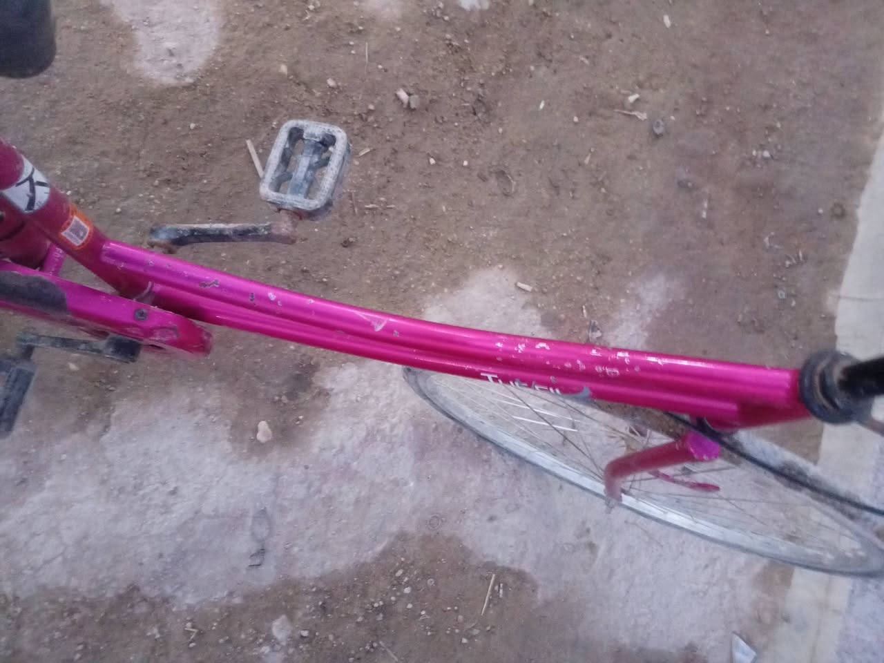 السلام عليكم بايسكل للبيع حجم 26 وياله ختم السعر خاص


**إذا كنت صاحب هذا الإعلان وتريد حذفه لأي سبب، رجاءا أرسل رسالة إلى الدعم الفني**