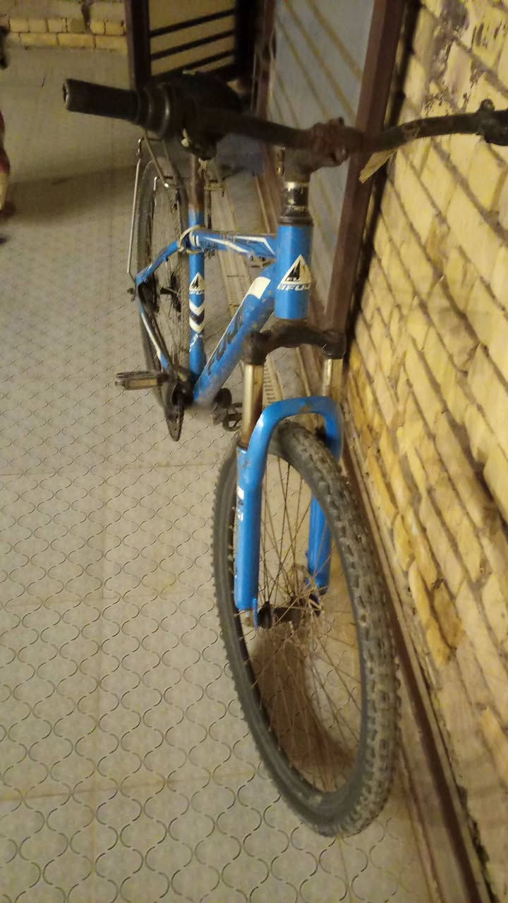 سلام عليكم بايسكل حجم 26 جبلي يشتغل بريك يشتغل كل البايسكل جاهز نازل يشتغل كشن جديد كي والسعر في 60 وفي مجال مكان البايسكل الناصريه حي امام الرضا قلعه السكر


**إذا كنت صاحب هذا الإعلان وتريد حذفه لأي سبب، رجاءا أرسل رسالة إلى الدعم الفني**