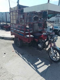 ستوته • موديل ٢٠٢٣ • فلوجه