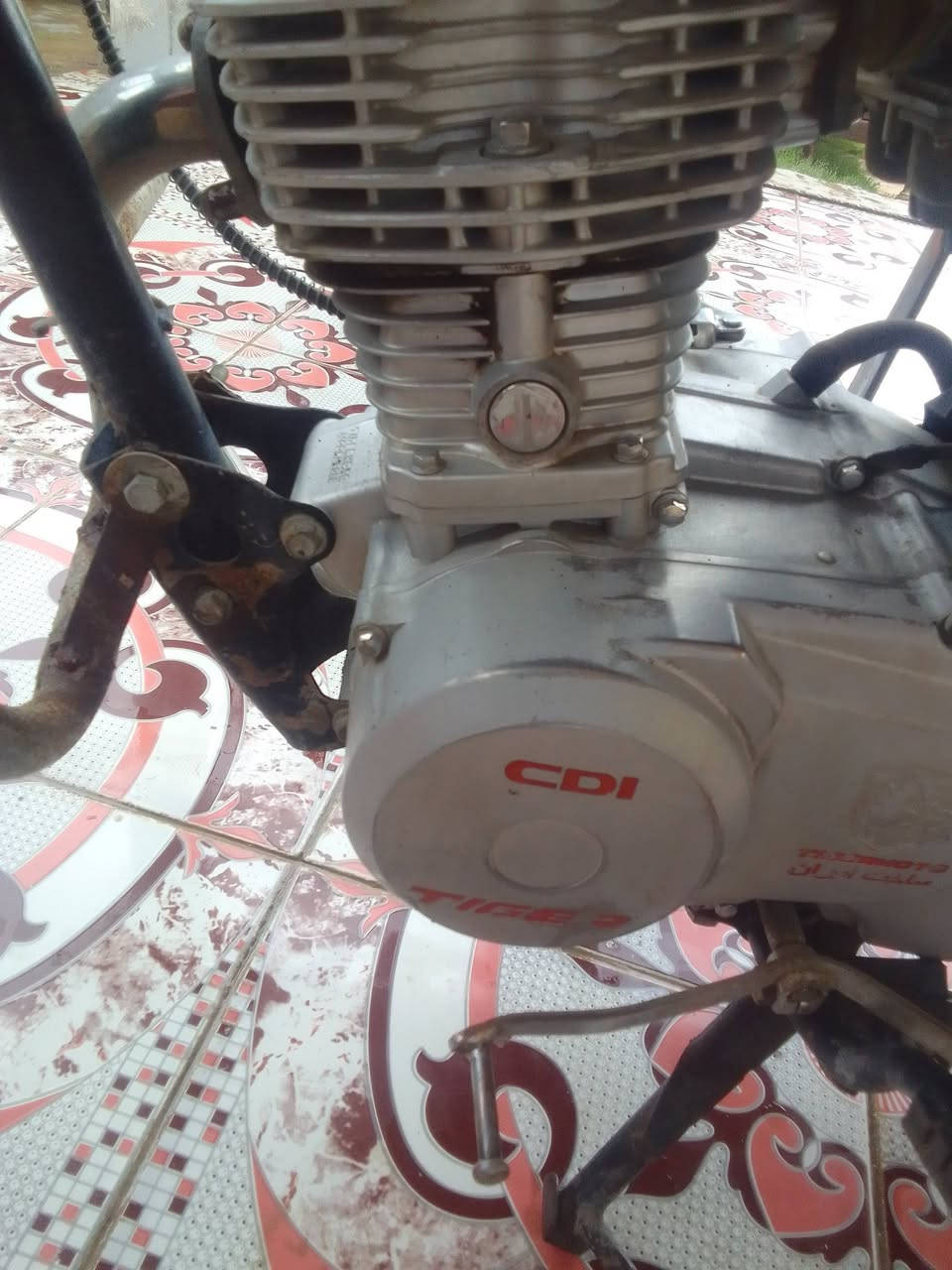 للبيع تايكر اوراق أصولي موديل 19 مكينه جديده بعده سعر 275 مكاني ديالى شهربان سنسل هاتف ***********
