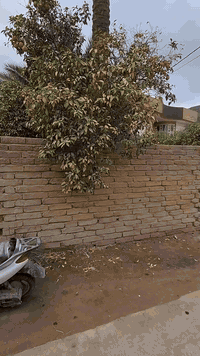 سلام عليكم قطعة ارض للبيع المساحه الكليه 750م 🏠

طابو صرف بستان السعر المطلوب 280 مليون وقابله للتفاوض 
الموقع ... 📍حله الورديه قرب الشارع العام 
شارع القطعه 8 متر تبليط 
خدامات القطعه ماء . كهرباء . مجاري . تبليط كافة الخدمات 

للاستفسار *********** واتساب 📞
