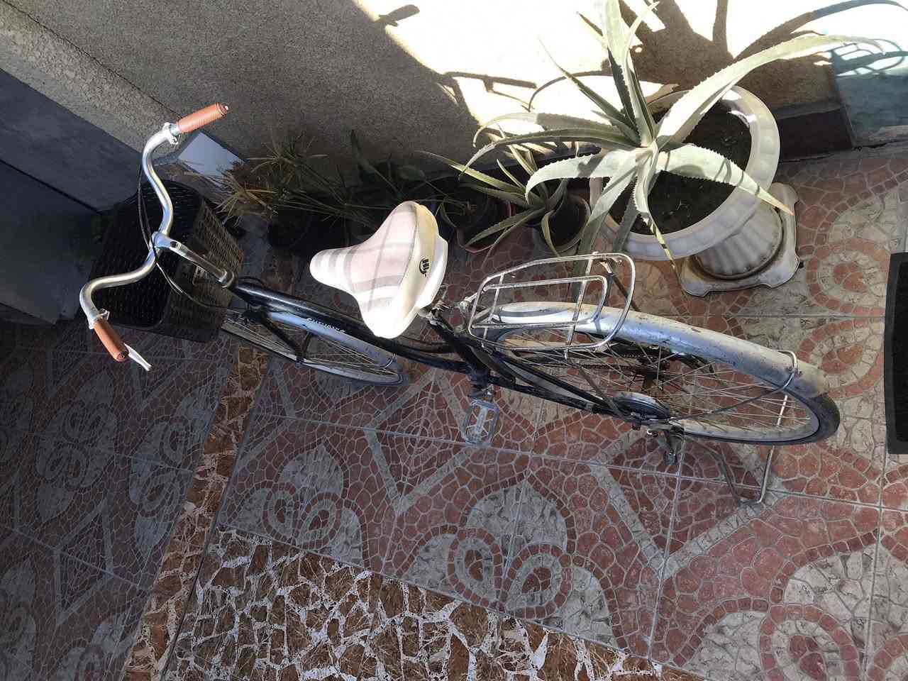 سلام عليكم باسكل موزه لبيع الحجم 27باسكل نضيف ويخبل مكاني بعقوبه جديده السعر 70وبي مجال الطيبين الرقم ***********او رسلني خاص وتدلل
