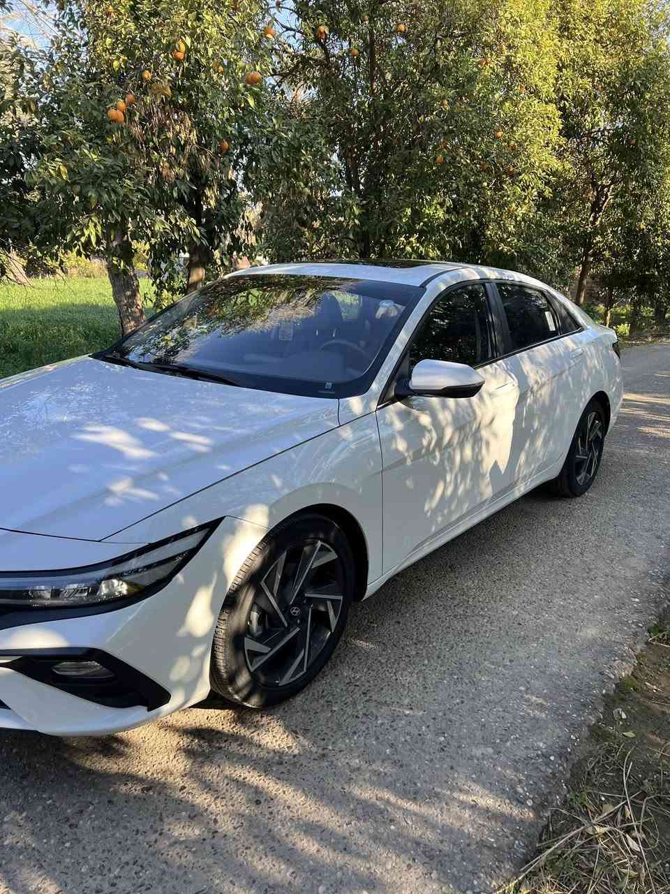 السلام عليكم
هيونداي النترا 2025 ( خـليـجـي ) تجميع صيني

كامل مواصفات سلايد فتحة سقف بصمة            

ماشيه /26الف كيلو 

 👈المواصفات :

مود درايف ( ايكو ٫ كومفرت ٫ سمارت ٫ سبورت )

كير طيارة

بصمة تشغيل بصمة ابواب

شاشة اصلية 

عداد سرعة ديجتل 

مقاعد جلد اسود 

6 ايرباك (الدشبول الدركة التكم المقاعد)

لايت led نهاري

لايت زنون عالي ناصي 3 عدسات

فتحة سقف

 مقود  رياضي حرف D

ويل رياضي حجم 17

تبريد قطعتين

مري كهرباء+ اشاير بالمري +مري شفط

كروس سرعة وفول تحكم ستيرن

حساسات خلفية +كاميرا 

سايد بريك كهربائي

السياره كفاله عامة

السياره رقم اربيل  تحويل وكاله موجود

مكاني بغداد للاستفسار الاتصال على الرقم ***********

زين ***********
