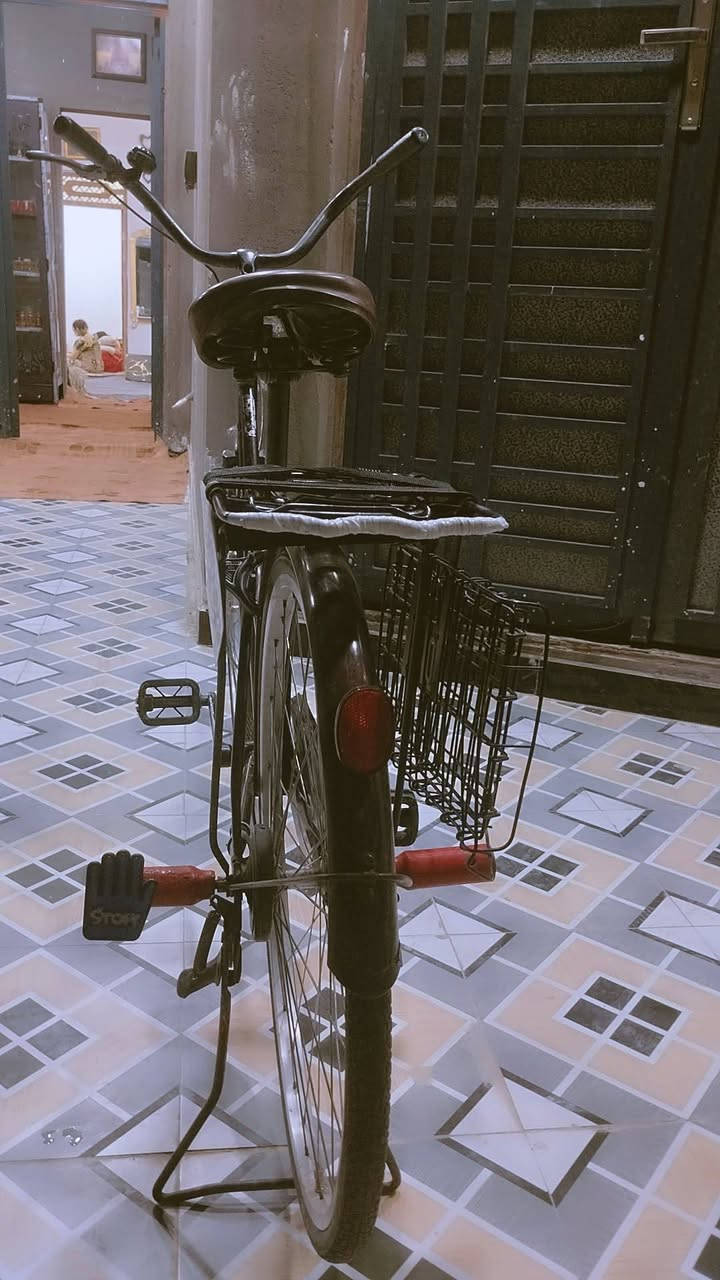 باسيكل للبيع جديد الحجم 26 المكان ناصريه بالسكان الصناعي كامل من الطول الطول السعر 75 وبيا مجال ***********
