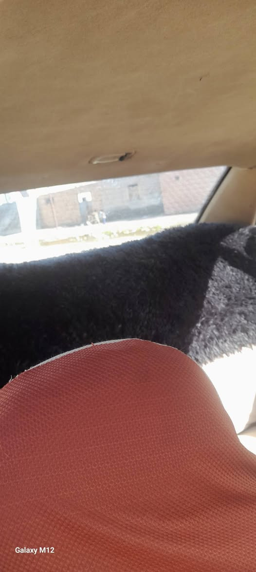 السلام عليكم ورحمة الله  بيع سمند مديل ١١ السماوه قضاء الخضر رقم الهاتف ***********سعر ٢٦ مصفره هيعه غرامات
