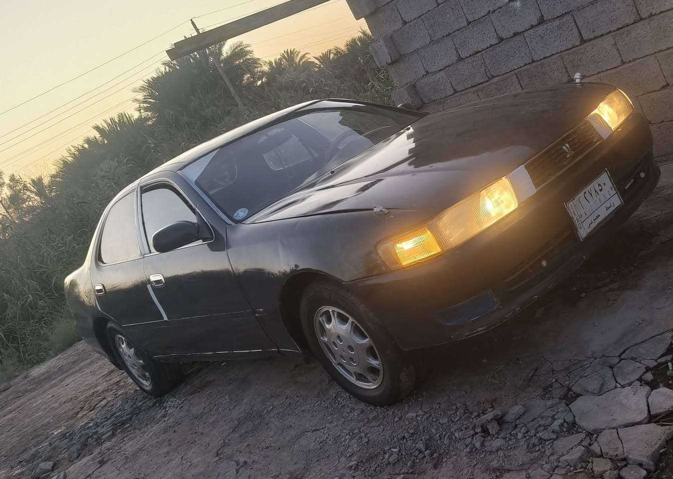 كرسته موديل 93 كفاله گص ونقل وضربه مداور ثاني يوم مصبوغه جماليه مكينه وگير ونجي حاويه كارتون دگمه وحده حداده تخم تاير كارتون كهربائيات كلها شغاله سعر ٤٨ مكان شطره اتصال ***********
