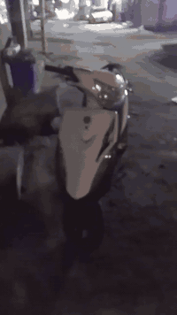 شباب دراجة ماكس عدلة للبيع 
نضافه ٪100 دراجة خير من الله
لا نضوح لاتبخير  الكهربايات شغال
السعر 550 وبيه مجال حك الجيه
العنوان بغداد حي اور 600 
الرقم *********** 
متواجد واتساب وماسنجر
