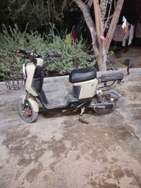 دراجة شحن R9-2025 • خمسة بطاريات • نقص زنجيل وبطيخه