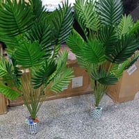 وحدة • ديكور • حديقة