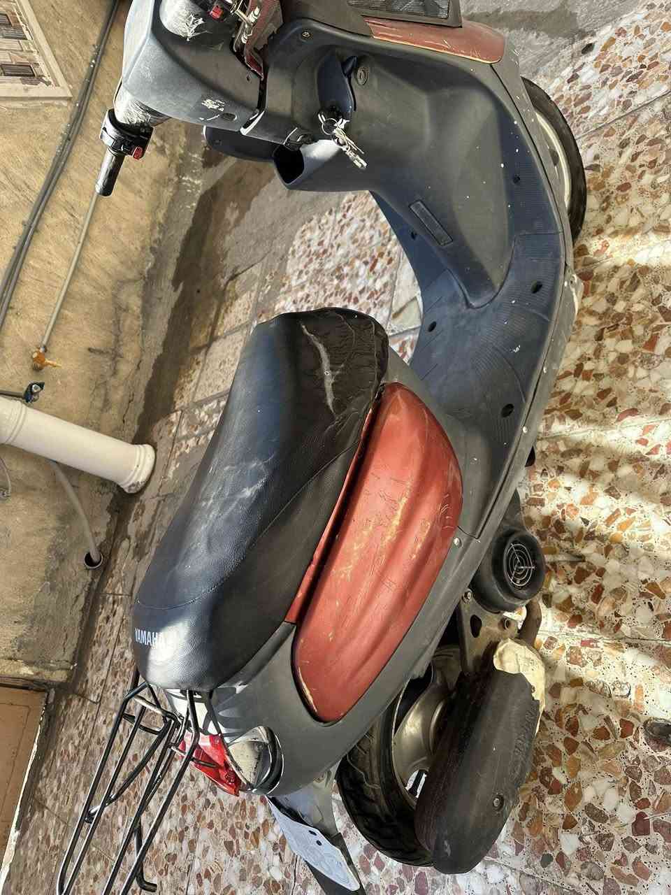 السلام عليكم منغولي للبيع
السعر 300 وبيه مجال 

كربلاء الحر

 للستفسار اكثر اتصل 

***********

***********
