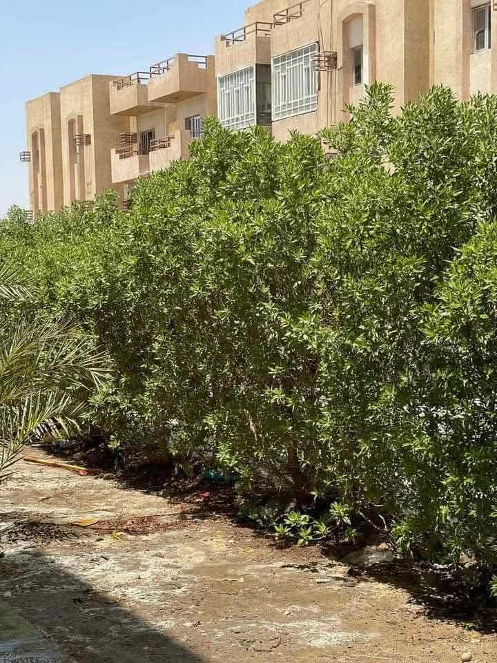 مرحبا
شقه بمجمع الزيتون السكني

ارضي

فئه A 

مساحتها 150 م

3 غرف

صاله

صحيات 2

مطبخ

حديقه داير مداير الشقه

قصدهه للدوله 75الف دينار شهريا

مطلوبه 13 مليون

السعر 55

للاستفسار الاتصال الرقم ‭0784 050 3094‬
